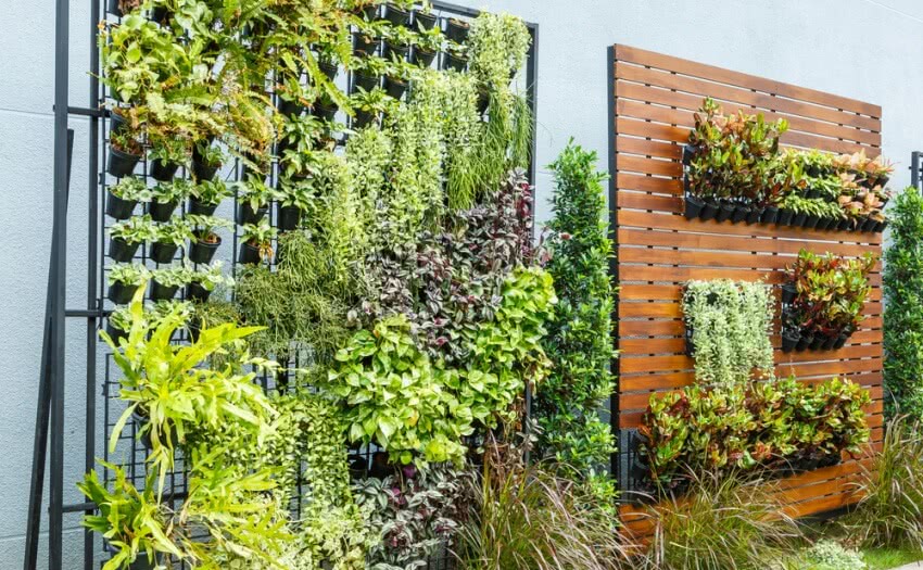 How to make a vertical garden?